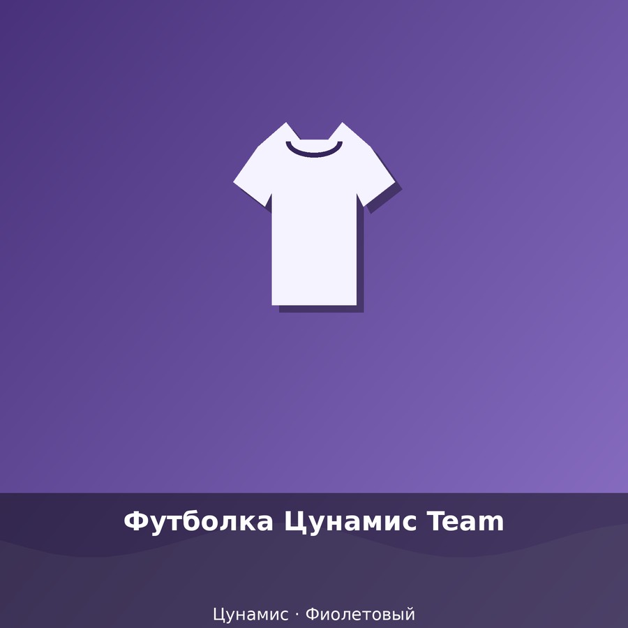 Футболка Цунамис Team