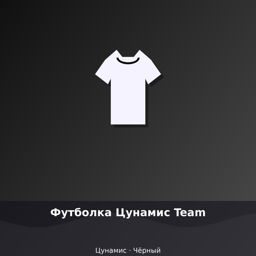 Футболка Цунамис Team